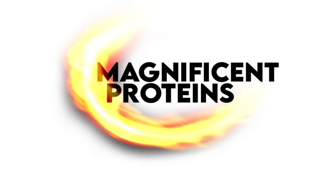 Logo Magnificent Proteins